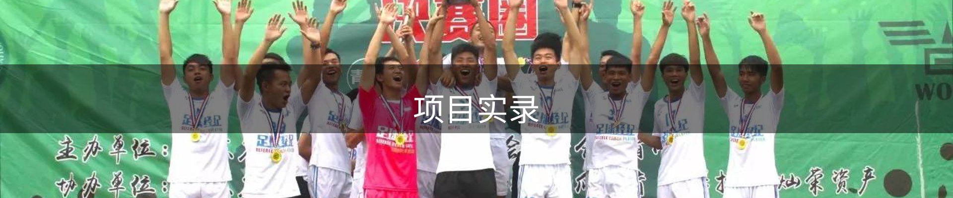项目实录